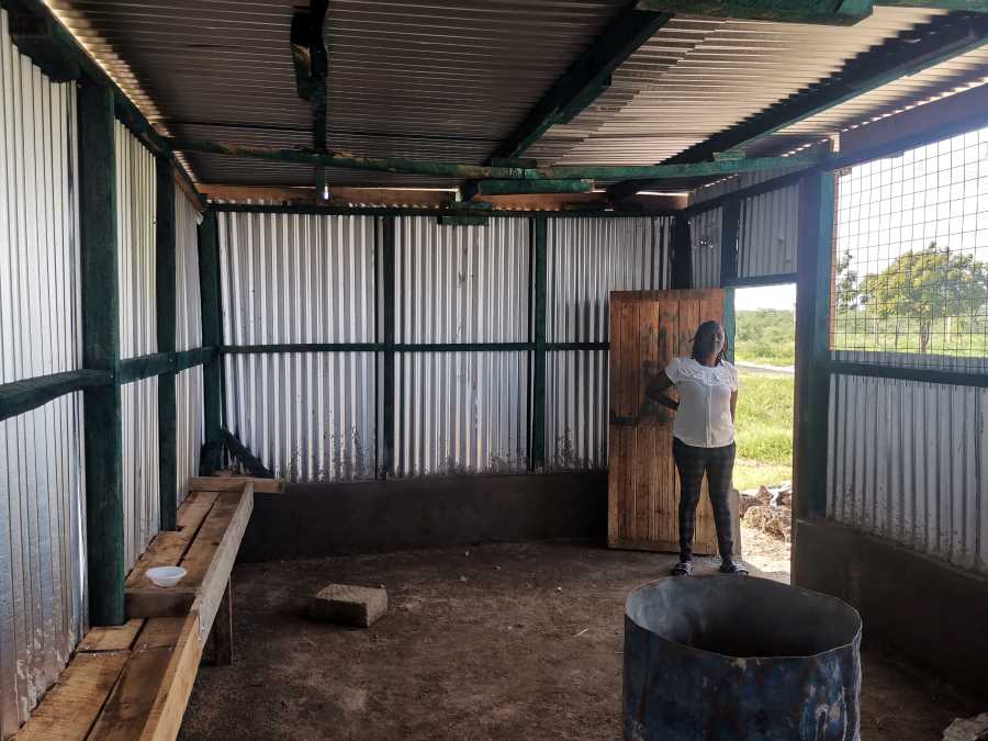 Eva is showing us the interior of the new chicken house