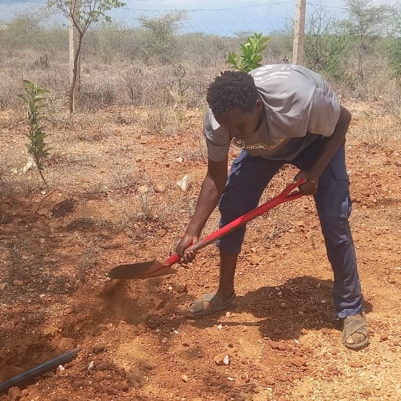 the water pipe is hidden safely in the ground