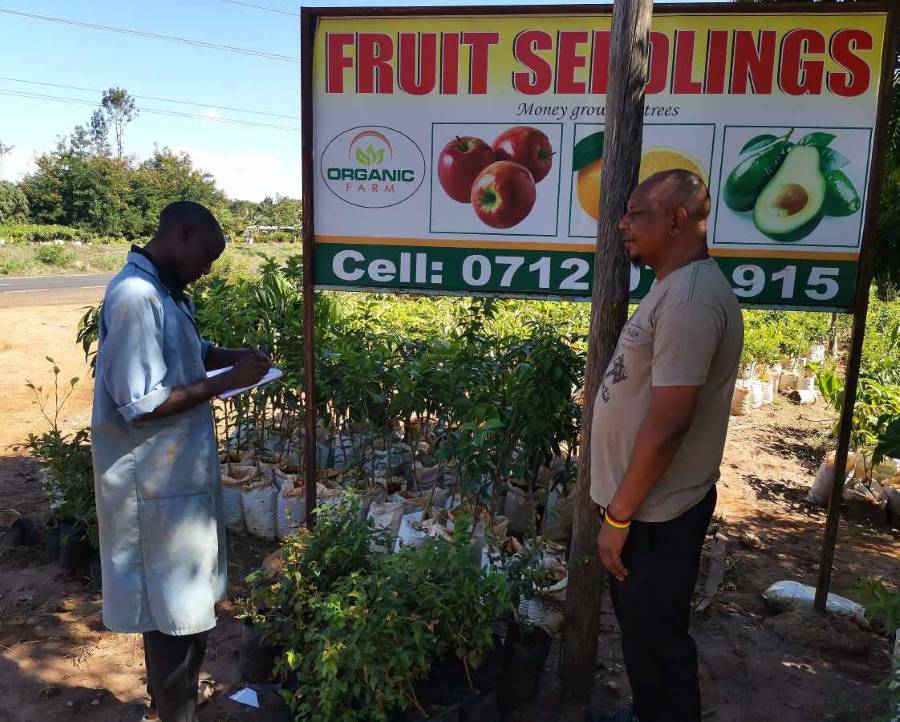 George and tree expert Harun in discussion on how to proceed with the idea of planting trees