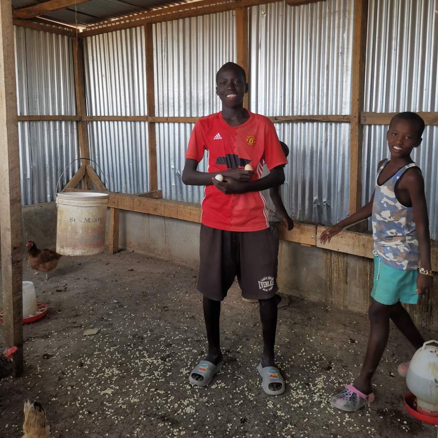 John has taken over the caretaking of the chicken from James