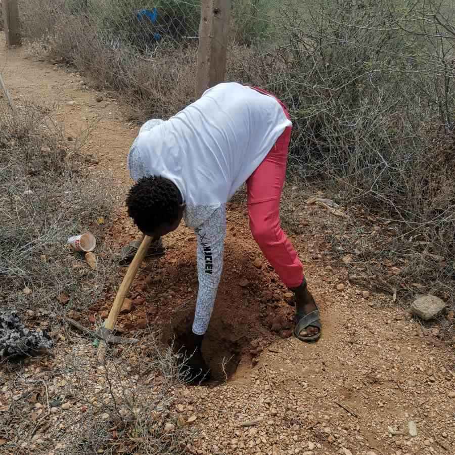 digging 5 holes to get the soil samples
